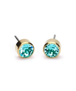 Örhängen GT Bezel 6 mm 15-1309-11>Blomdahl Sale