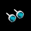 Örhängen MP Bezel 6 mm, Blue zircon 15-0109-14>Blomdahl