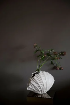 – Vase Shell>By On Best