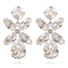 Örhängen Dione Crystal (Rhodium)>Caroline Svedbom Hot