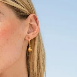 Shell Loops Örhängen / (Guld)>Caroline Svedbom Discount