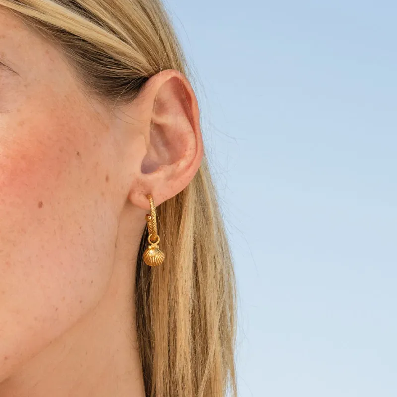 Shell Loops Örhängen / (Guld)>Caroline Svedbom Discount