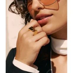 Insignia Ring Guld><noscript><img width=
