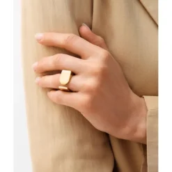 Insignia Ring Guld><noscript><img width=