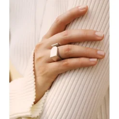 Insignia Ring Stål><noscript><img width=