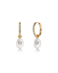 Perla Hoops Sparkle – Guld>Edblad Online