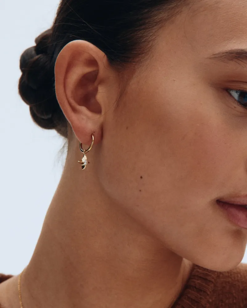 Stellar Hoops – Guld>Edblad Outlet