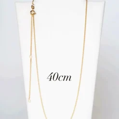 Extendable Chain Guld Chain038><noscript><img width=
