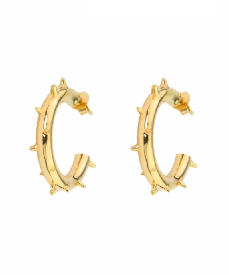 Fig Tree Hoops (Guld) Ear121 ( Mega Kampanj )>Emma Israelsson Discount