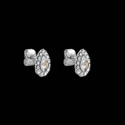 Örhängen Amelie Crystal 60782>Lily And Rose