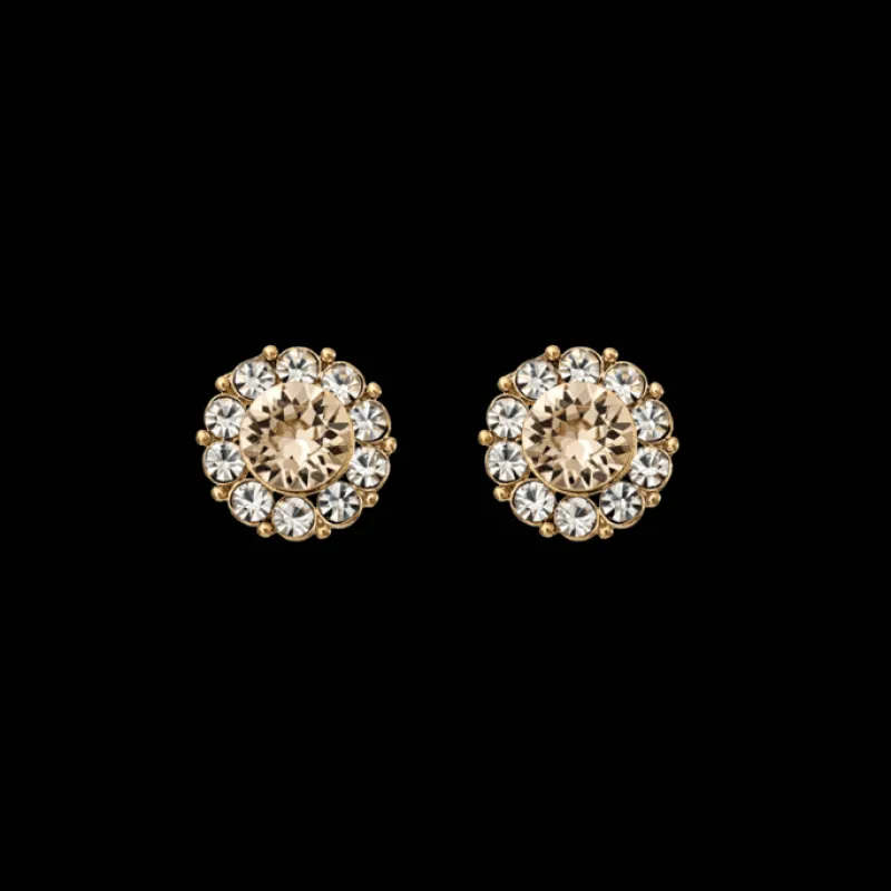 Örhängen Miss Sofia Light Silk (Gold) 61136>Lily And Rose Outlet