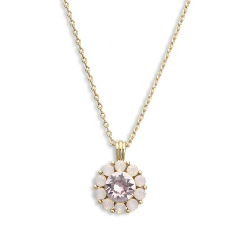 Sofia Halsband – Light Amethyst (Guld) 40288>Lily And Rose Sale