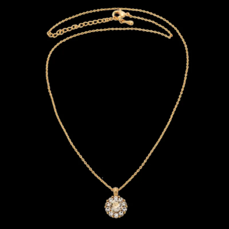 Lily And Rose Sofia - Crystal 40269 (Guld)>Halsband Outlet