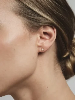Belle Studs Örhängen Medium Guld – Champagne><noscript><img width=