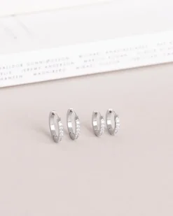 Shiny Silver Small Örhängen><noscript><img width=