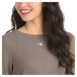 Zodiac Aquarius Halsband 5349213>Swarovski Hot