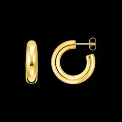 Örhängen Guld CR635-413-39>Thomas Sabo Best