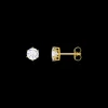 Örhängen Guld H2300-414-14>Thomas Sabo Sale